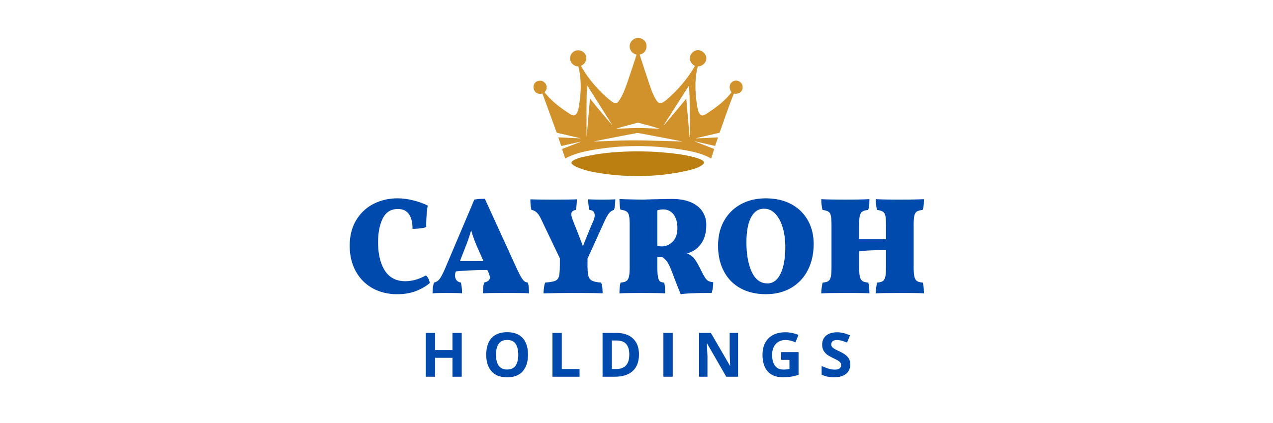 Cayroh Holdings (Pty) Ltd